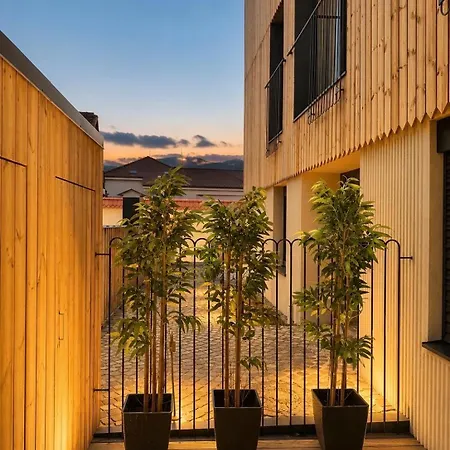 Terra Design Apartment Brasov